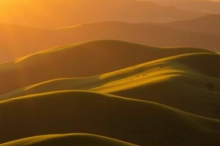 Paisaje con luz dorada y sombras largas al atardecer